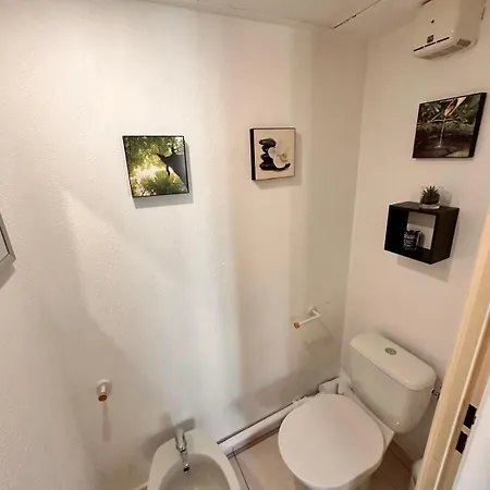 Des Domes Fshh Daire Nice