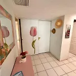 Des Domes Fshh * 니스
