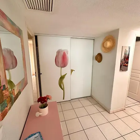 Des Domes Fshh * Nice