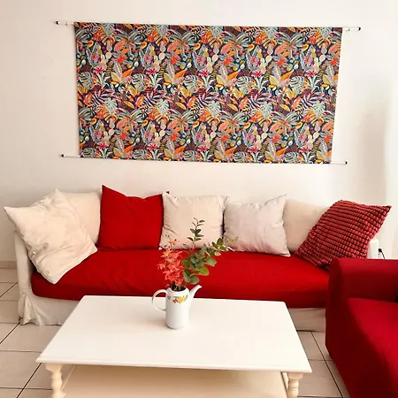 Des Domes Fshh * Nice